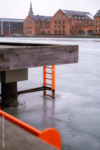 Canvas Print Snowy Copenhagen