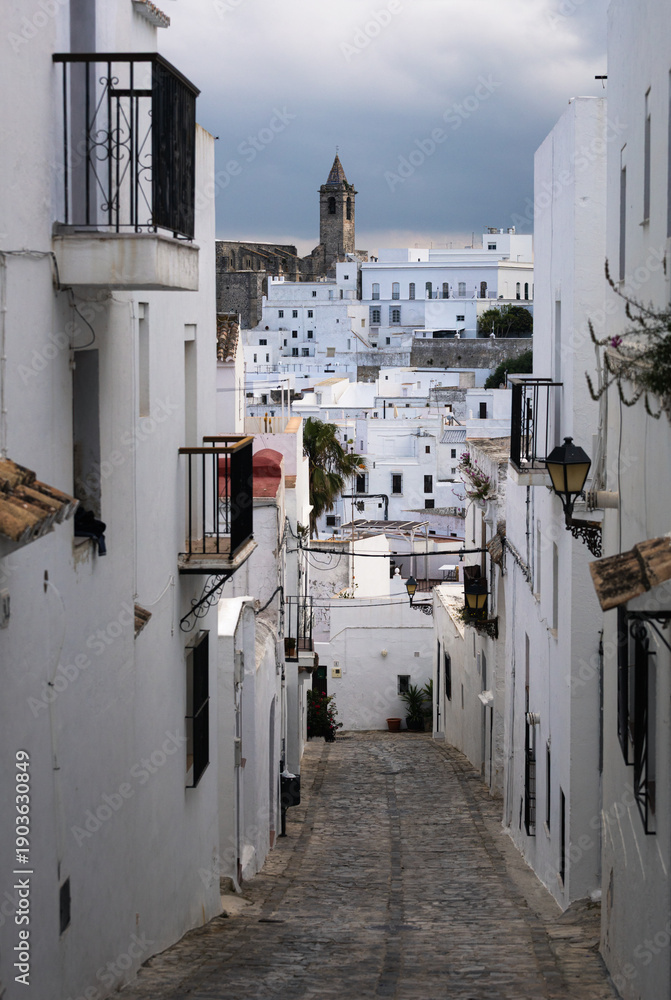 Obraz premium historic center of the medieval city of Vejer de la Frontera in spain