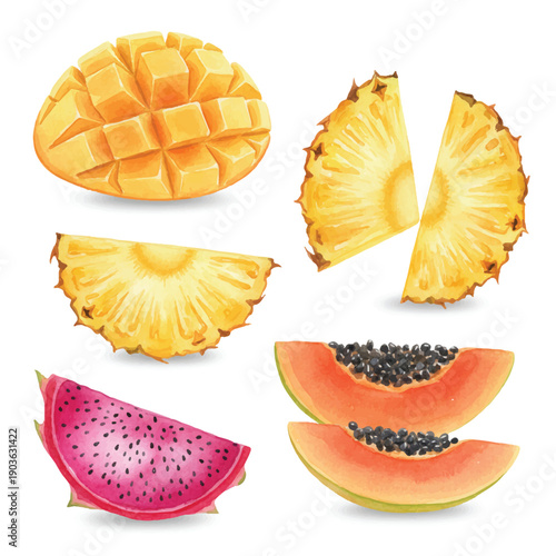 Colorful Isolated Tropical Fruit Slices Set: Mango, Pineapple, Dragon Fruit, and Papaya Illustration isolated PNG with Transparent Background