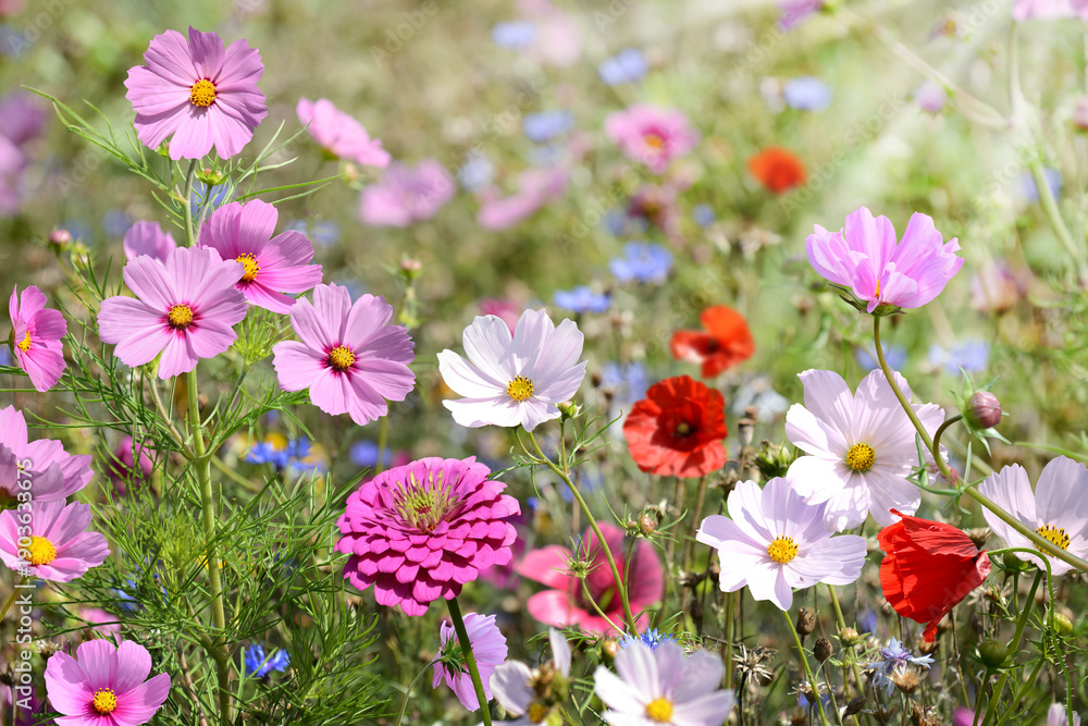 Obraz premium Garten 1528