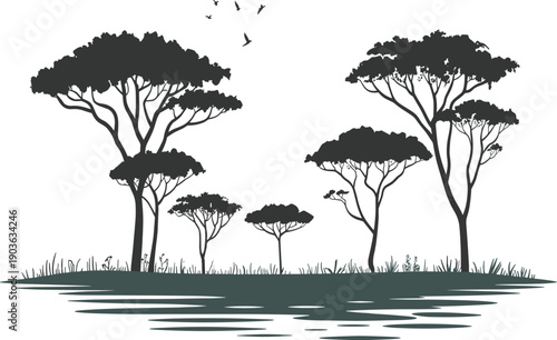 WebAfrican savanna landscape, acacia trees silhouette, birds flying sky, water reflection scene, wildlife nature background, eco tourism concept, biodiversity illustration vector