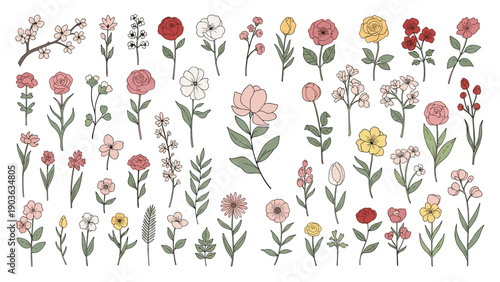 Diverse and large collection of various flower types and stems in many different colors and shapes on a white background.