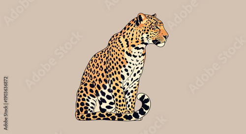 Illustration of a sitting leopard with detailed spotted fur on beige background.