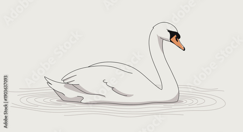 Illustration of a graceful white swan swimming on calm water.