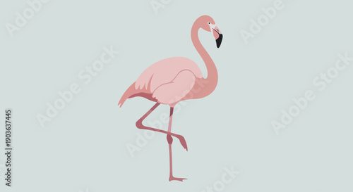 Illustration of a pink flamingo standing on one leg against a plain background.
