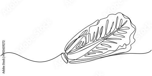 Fresh romaine lettuce continuous one line drawing, One single line drawing healthy organic green lettuce leaves for farm logo identity. Fresh salad ingredient concept for vegetable icon. Modern
