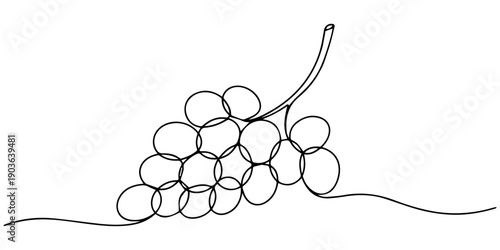 Continuous one line drawing grapes. Vector illustration of grape isolated. one line Icon drawing with white background, Continuous one line drawing of a bunch of grapes, representing elegance