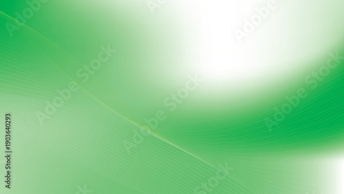 Abstract white and green color, modern design stripes background with curve lines, wavy pattern. Vector illustration.	