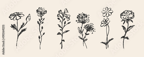 Hand-drawn flowers 5