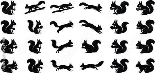 Black Silhouette Set of Wild Squirrels in Various Poses Including Jumping Running and Eating Nuts for Nature Wildlife Protection and Forest Environment Vector