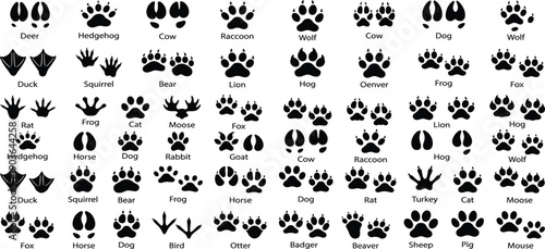 Black Silhouette Set of Various Animal Paw Prints and Bird Tracks Including Deer Bear Wolf Lion and Domestic Pets for Wildlife Education and Tracking