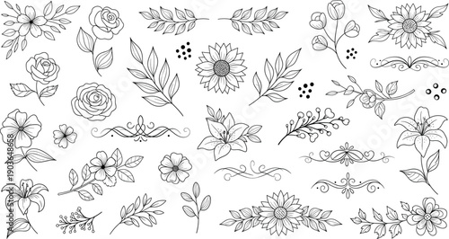 Hand drawn floral line art collection with flowers, leaves, branches, wreaths, decorative dividers and botanical embellishments
