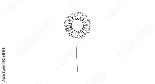 Elegant sunflower illustration with detailed petals and stem