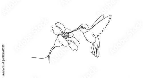 Hummingbird sips nectar from beautiful flower in flight