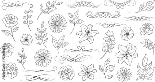 Hand drawn black line botanical elements set with roses, daisies, leaves, branches and decorative swirl dividers