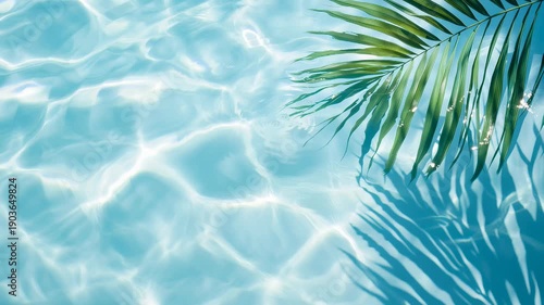Tropical poolside vibes with swaying palm shadows on clear blue water