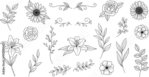 Hand-drawn black line floral set with sunflowers, roses, leaves, branches, botanical elements for modern design