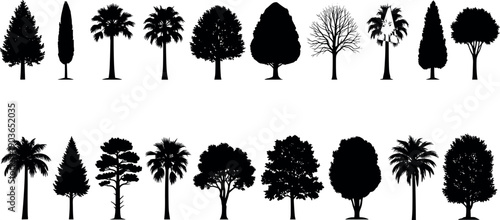 Tree Silhouette Vector Set Featuring Palm, Pine, Deciduous, and Tropical Trees for Nature Design, Landscaping Graphics, Environmental Concepts, and Botanical Projects