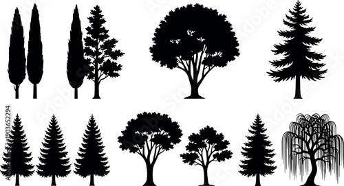 Tree silhouettes set with conifer, deciduous and ornamental shapes, black vector illustration isolated on white for landscape architecture, park and nature design