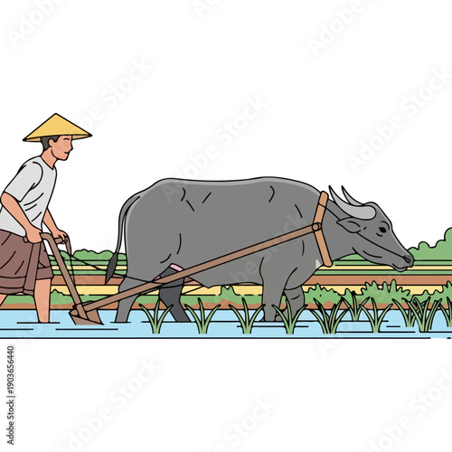 Asian farmer plowing rice field with water buffalo illustration