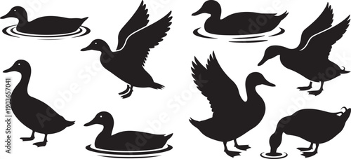 Set of duck. silhouette vector icon illustration with white background
