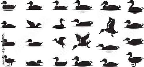 Set of duck. silhouette vector icon illustration with white background