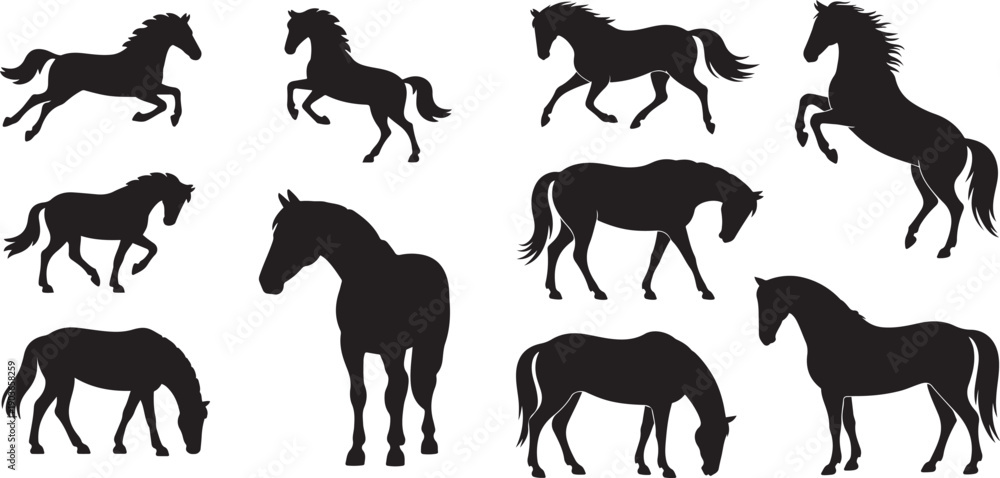 Fototapeta premium Set of horse. silhouette vector icon illustration with white background