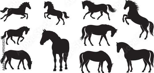Set of horse. silhouette vector icon illustration with white background