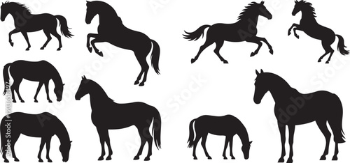 Set of horse. silhouette vector icon illustration with white background