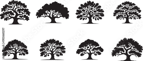 Set Off oak tree . silhouette vector icon illustration with white background