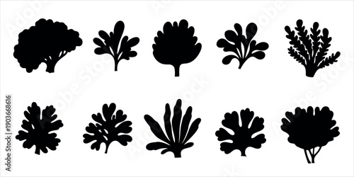Collection of ten distinct black leaf silhouettes on white background
