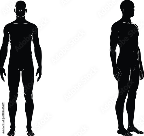 Full length black silhouettes of athletic male body showing front and side profile views isolated on white background for anatomy fitness and medical design.