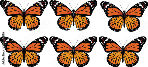 butterfly,monarch,insect,lepidoptera,nature,wildlife,wings,orange,black,pattern,animal,illustration,vector,icon,collection,design,colorful,isolated,symmetry,beauty