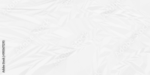 Creased paper parchment white blank page detail wrinkle blank white canvas. old paper crumple texture wrinkle. parchment empty letter texture.