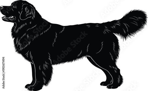 Large black silhouette of a happy family with two fathers and three children walking and holding hands isolated on white background for lifestyle design.