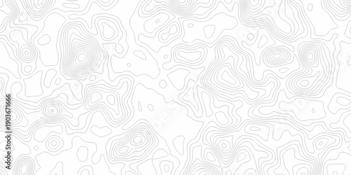 Minimal white line geometric grid outline curve counter map and wavy topography relief discovery area white, black line texture background.