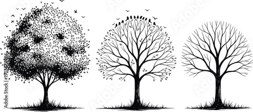 Large collection of black tree silhouettes showing seasonal changes from full summer leaves to autumn falling foliage and bare winter branches on white background.
