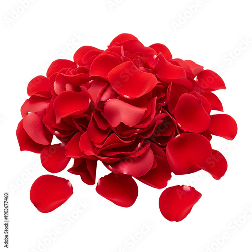Pile of fresh red rose petals for decoration or romantic gesture