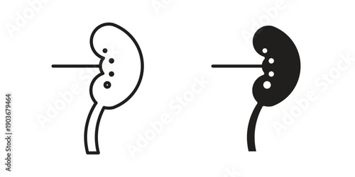 Kidney disease icon vector on trendy design. Outline vector stock illustration.