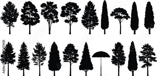 WebVector illustration of diverse tree silhouettes in artistic natural styles, showcasing deciduous and coniferous species, botanical foliage design concept for forest, landscape, environment,