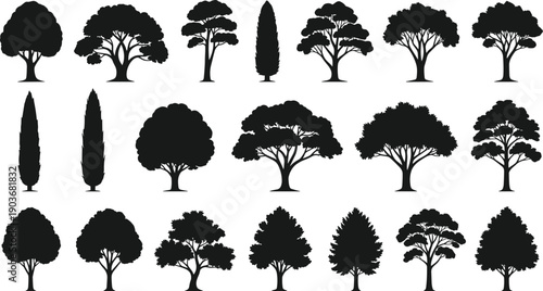 WebVector illustration of diverse tree silhouettes in multiple natural styles, showcasing coniferous and deciduous species, 