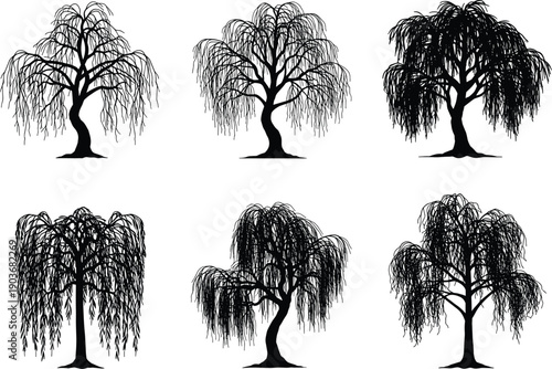  features six illustrations of willow trees, presented in a black and white format. Here’s a detailed explanation of the elements