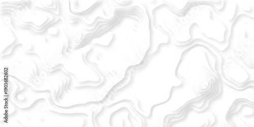 Seamless grid landscape white and gray area curve topography elevation map design. wave diagram contour stripe spiral composition discovery paper surface design.