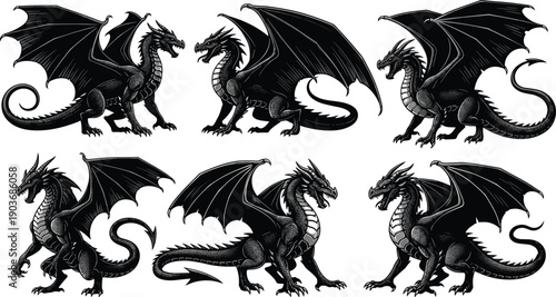 WebVector illustration of dragon silhouettes in detailed fantasy poses with wings, claws, tails and fierce expressions, mythical creature design concept for folklore, mythology