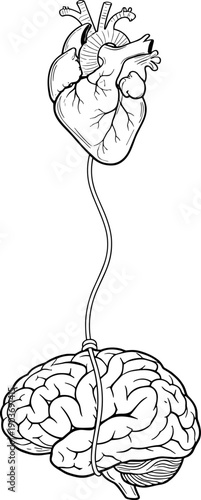 Mind-Body Connection Conceptual Vector Illustration: Detailed Line Art of Human Heart Hanging from the Brain by a Rope, Symbolizing Emotional Control and Mental Health Dynamics