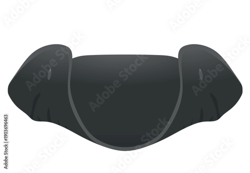 Black pirate hat. vector illustration
