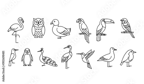 Linear birds icon set vector illustration including flamingo, owl, duck, and other bird species