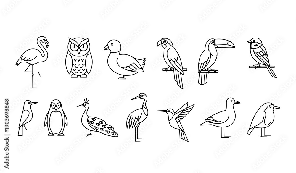 Fototapeta premium Linear birds icon set vector illustration including flamingo, owl, duck, and other bird species