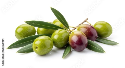 Wallpaper Mural Close-up of olive branch with green and purple fruit, and elongated green leaves Torontodigital.ca