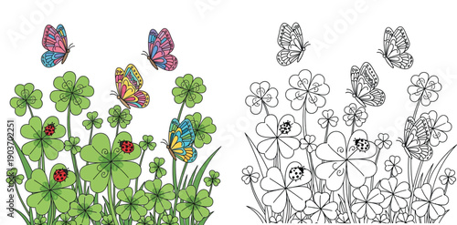 Coloring page with four leaf clovers, ladybugs and butterflies in green field. Vector illustration of colored and outline versions for kids activity.